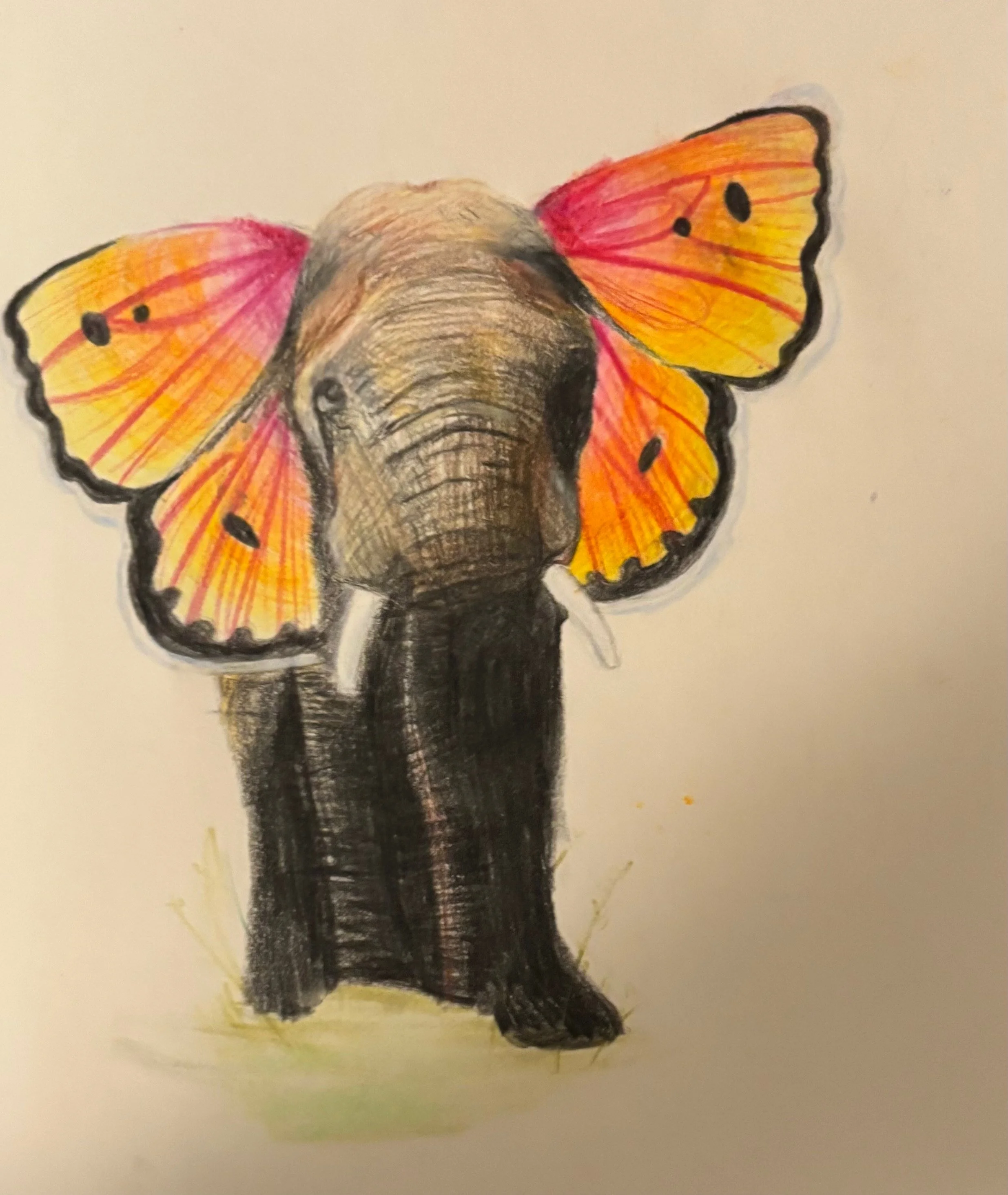 Graphite elephant with vivid orange and pink butterfly ears